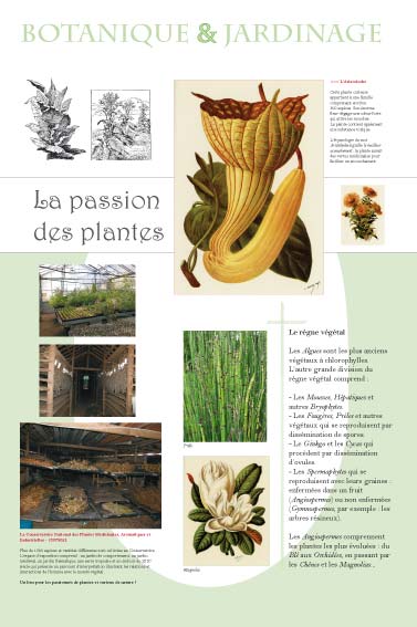 expositionLa passion des plantes culturelle