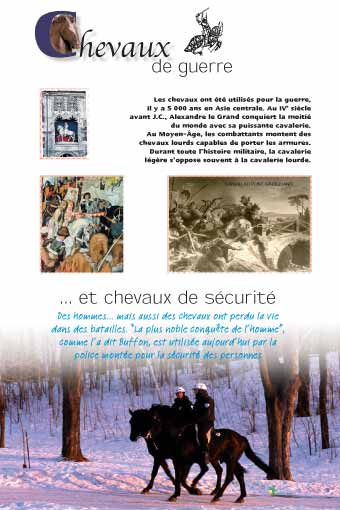 Chevaux de guerre et de sécurité