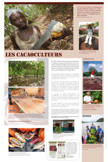 Exposition chocolat, exposition cacao, Les cacaoculteurs 