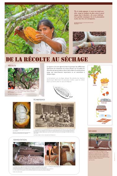 Exposition chocolat, exposition cacao,récolte au séchage du cacao 