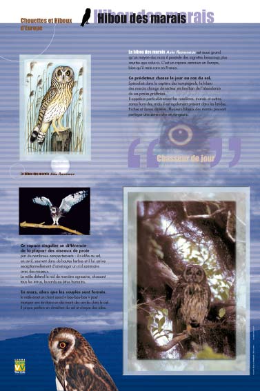 exposition culHibou des maraisturelle