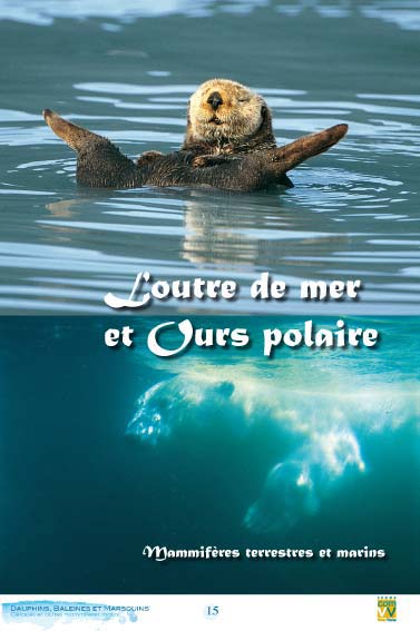 Loutre de mer et ours polaire 