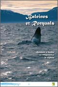 Exposition Baleines de Rorquals