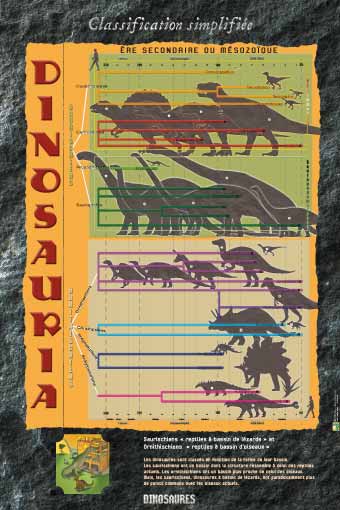 Exposition Dinosaures Classification simplifiée