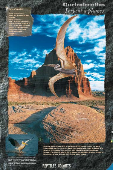 Exposition Dinosaures Quetzalcoatlus - Reptiles volants " Serpent à plumes "  