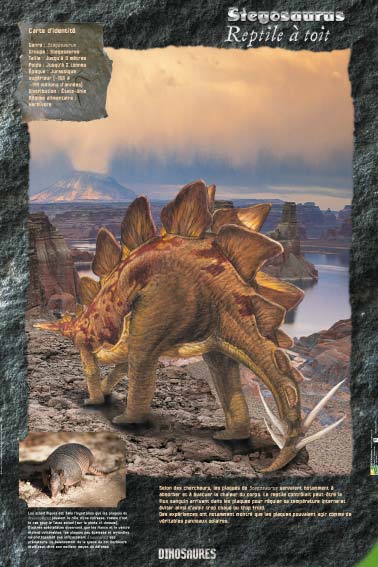 Exposition Dinosaures Stegosaures " Reptile à toit "