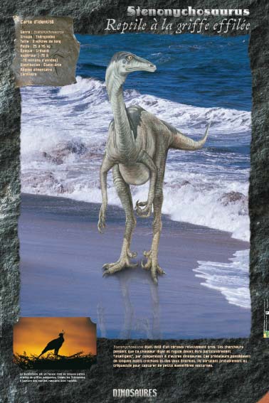 Exposition Dinosaures Stenonychosaure " Reptile à la griffe effilée "