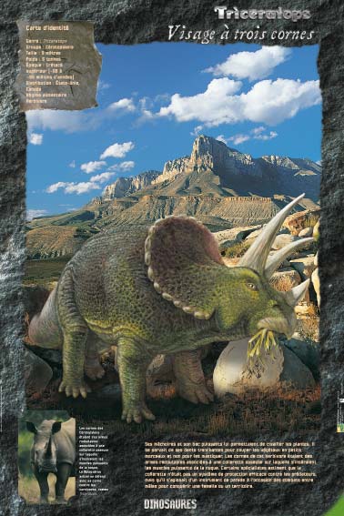 Exposition Dinosaures Triceratops " Visage à trois cornes " 