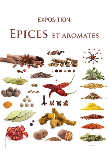 Exposition Épices et aromates