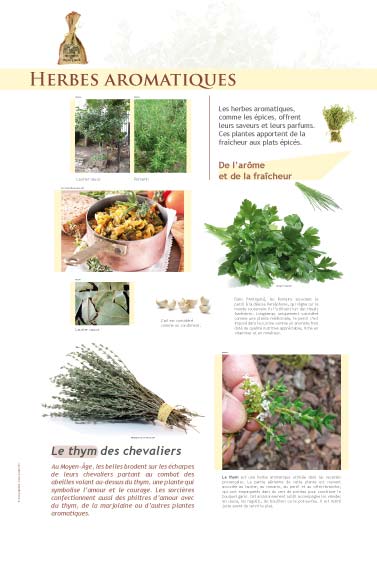 Herbes aromatiques - exposition Épices et aromates