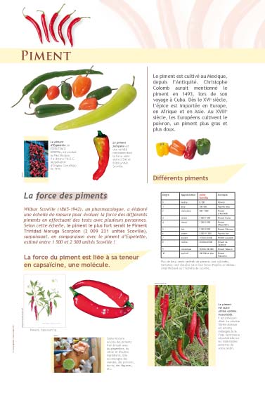 Piment  - exposition Épices et aromates