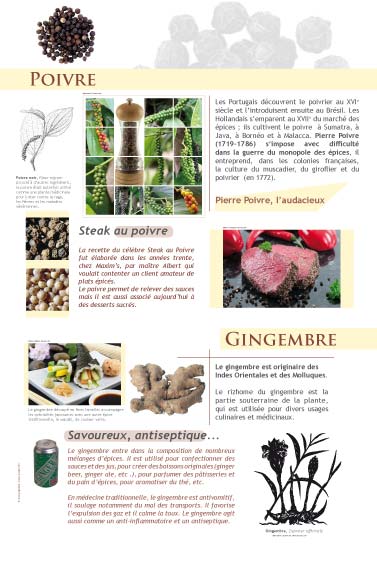 Poivre - Gingembre - exposition Épices et aromates