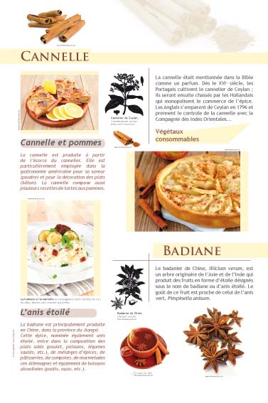 Cannelle - Badiane - exposition Épices et aromates