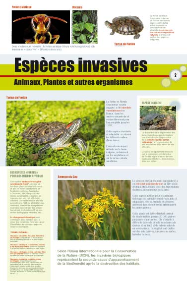 exposition les espèces invasives, Animaux, Plantes et autres organismes 