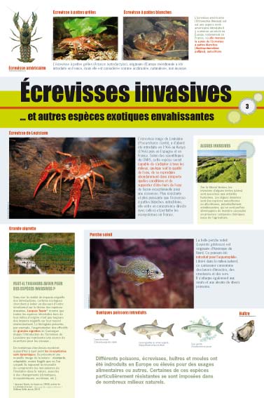 exposition écrevisses invasives et autres espèces exotiques envahissantes 
