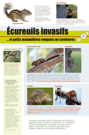 exposition écureuils invasifs et petits mammifères rongeurs ou carnivores