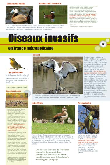exposition Oiseaux invasifs en France métropolitaine 