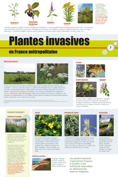 exposition Plantes invasives en France métropolitaine 
