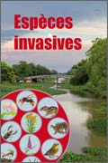 esposition espèces invasives