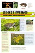 exposition les espèces invasives, Animaux, Plantes et autres organismes 