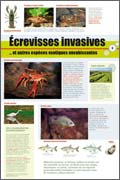 exposition écrevisses invasives et autres espèces exotiques envahissantes 