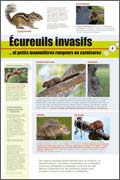 exposition écureuils invasifs et petits mammifères rongeurs ou carnivores