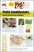 exposition Petits envahisseurs, Acariens, insectes, micro-organismes