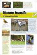 exposition Oiseaux invasifs en France métropolitaine 