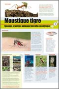 exposition Moustique tigre, Iguanes et autres animaux invasifs en outremer