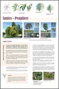 exposition Saules - Peupliers 