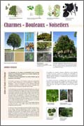 exposition Charmes - Bouleaux - Noisetiers
