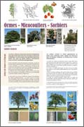 exposition Ormes - Micocouliers - Sorbiers