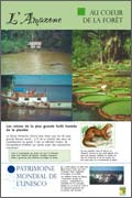  exposition Fleuves et rivières - L'Amazone - Au cœur de la forêt