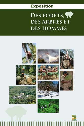 Exposition Des forêts des arbres et des hommes