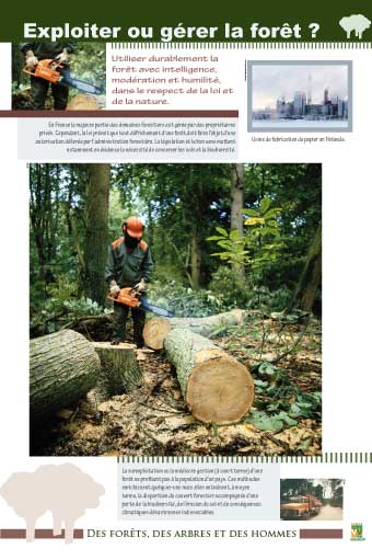 exposition Exploiter ou gérer la forêt ?cultuExploiter ou gérer la forêt ?relle