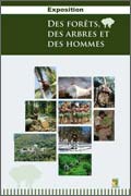 exposition des arbres des forêts des hommes