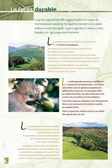  La forêt durable - Exposition La forêt