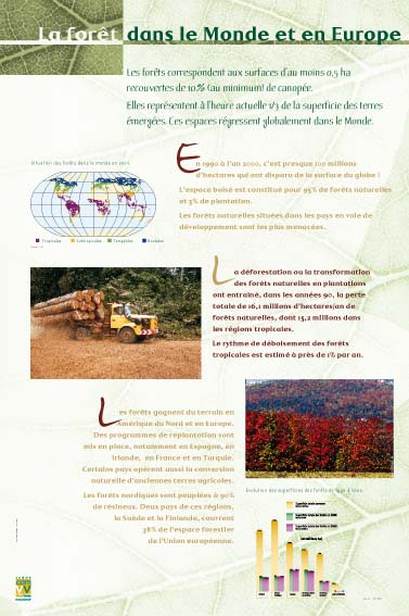 La forêt dans le monde et en Europe - Exposition La forêt