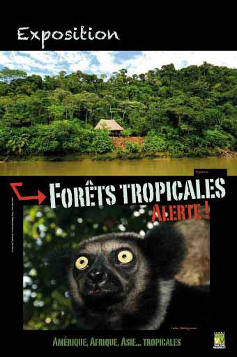 Exposition Forêts tropicales 