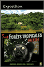 Exposition Forêts tropicales 