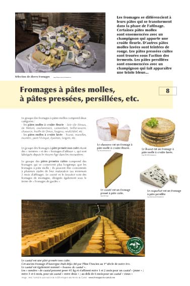 Exposition Fromages Fromages à pâtes molles, pressées, persillées