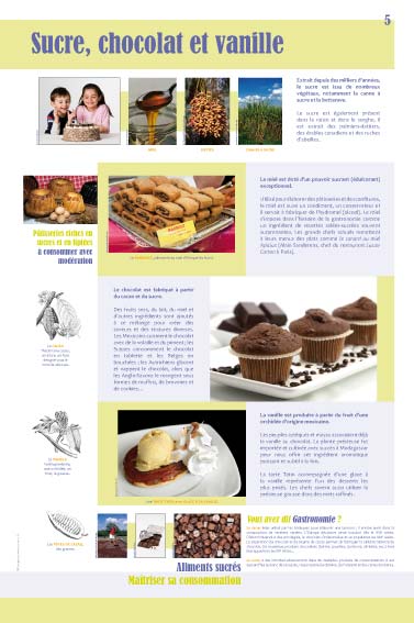 Exposition gastronomie - Sucre, chocolat et vanille