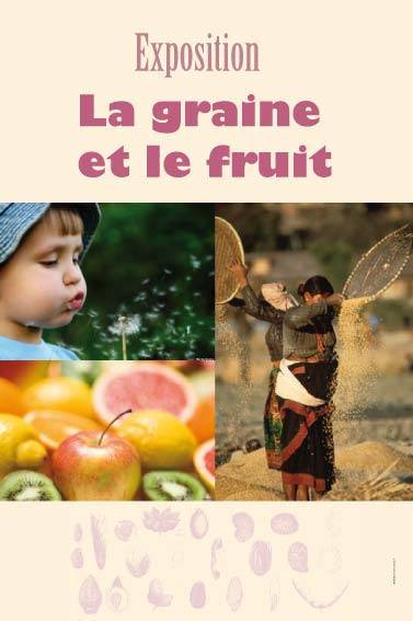 Exposition la graine et le fruit 