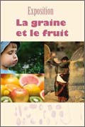 exposition la graine et le fruit