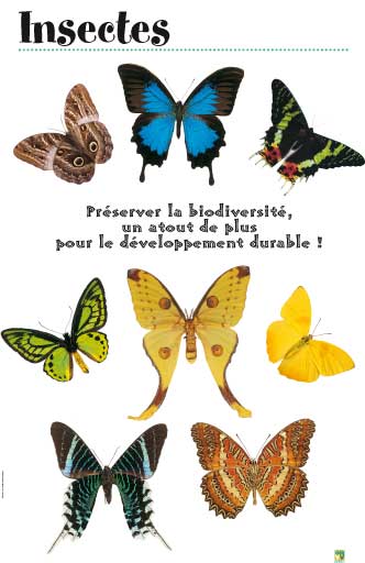 Préserver la biodiversité