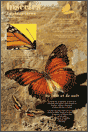 Exposition Insectes / Lépidoptères, Papillons