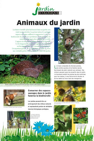 Exposition jardin écologique Animaux du jardin