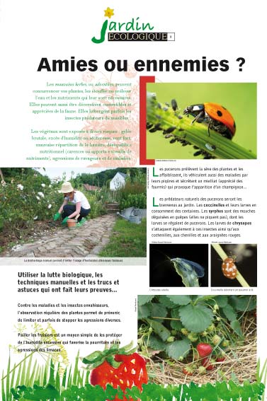 Exposition jardin écologique Amies ou ennemies ?