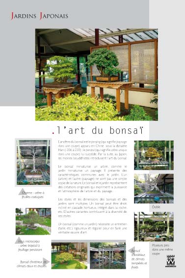 Exposition Jardins japonais L'art du bonsaï