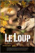 Exposition Le loup - Le retour d'un carnivore